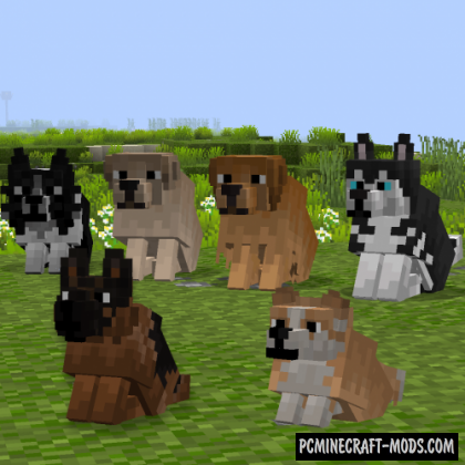 Better Dogs 16x Resource Pack For Minecraft 1.19.4, 1.19.3