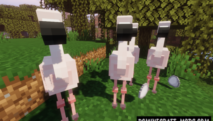 Flamingo - Creature Mod For Minecraft 1.16.5, 1.16.4