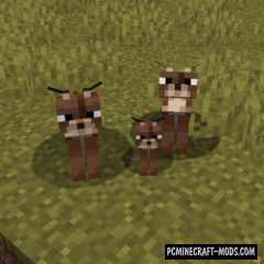Caracal - Creatures, Pets Mod For Minecraft 1.19.3, 1.18.2