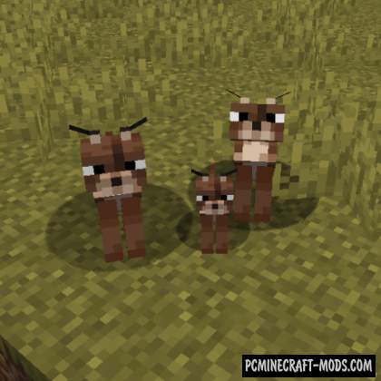 Caracal - Creatures, Pets Mod For Minecraft 1.20.4, 1.19.4, 1.18.2