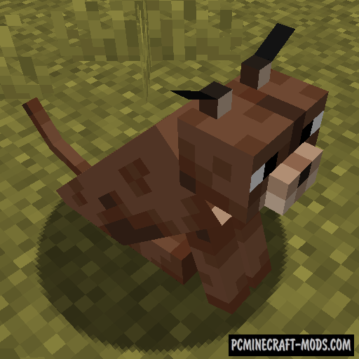 Caracal - Creatures, Pets Mod For Minecraft 1.19.4, 1.18.2