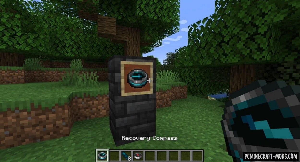 Minecraft 1.19.01